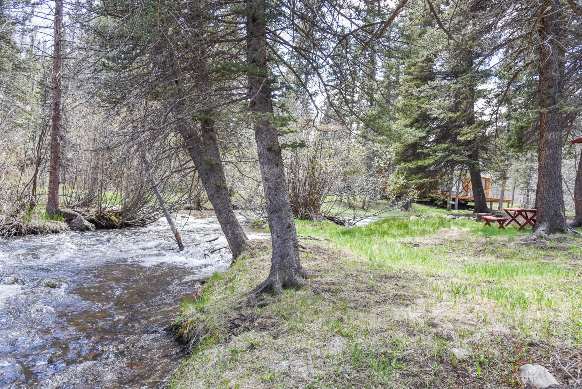Bear Bait Cabin In Upper Valley With High Speed Wifi Red River Exterior photo
